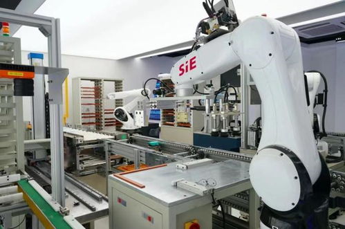 賽意信息2020年度業績說明會 智能制造業務高速增長，研發投入驅動智能機器人創新發展